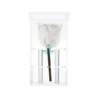Luxara Uno - Square Collection