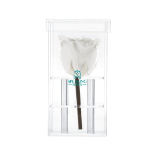 Luxara Uno - Happy Birthday Collection