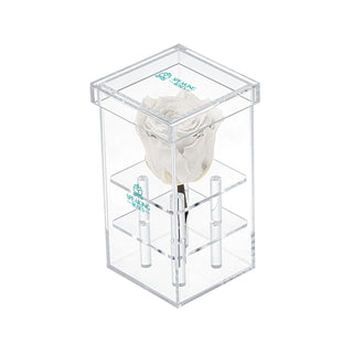 Luxara Uno - Square Collection