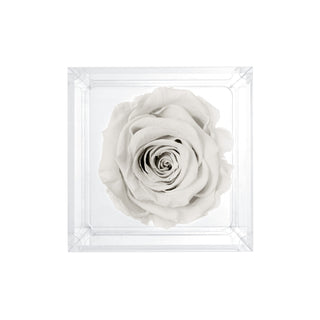 Luxara Uno - Wedding Collection