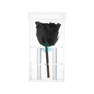Luxara Uno - Funeral Collection