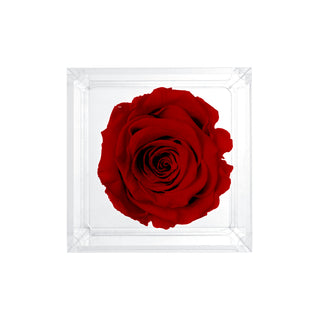 RED - Luxara Uno – I Love you - Personalized Rose - 100% Real (Preserved-Eternal)