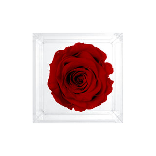 Luxara Uno - Square Collection