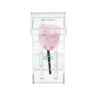 Luxara Uno - Funeral Collection