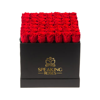 Sovelle LLO  - Anniversary Collection