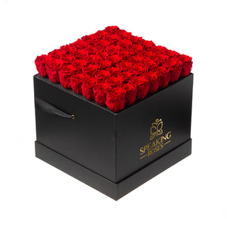 Sovelle LLO  - Anniversary Collection