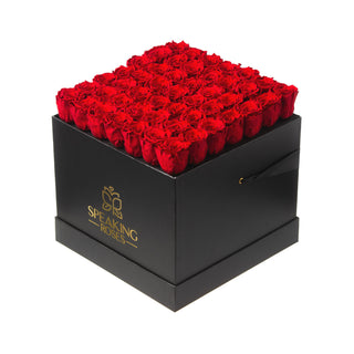 Sovelle LLO  - Anniversary Collection