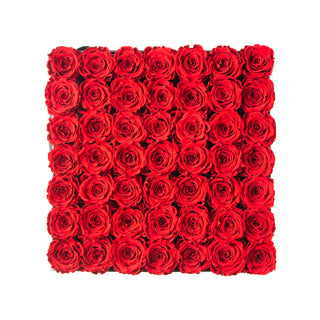 Sovelle LLO  - Anniversary Collection