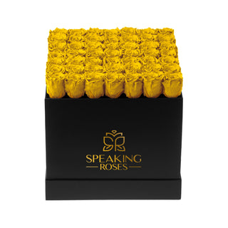Sovelle LLO  - Funeral Collection