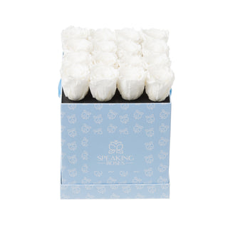 Sovelle OOM - Happy Birthday Collection