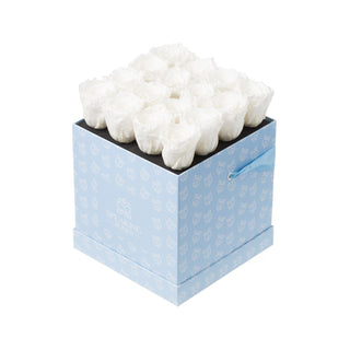 Sovelle OOM - Square Collection