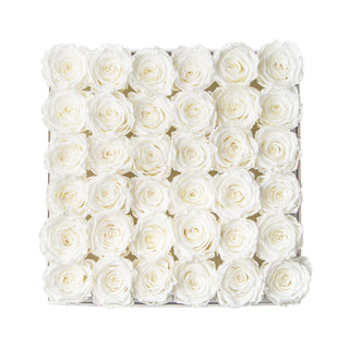 Sovelle MLO  - Wedding Collection