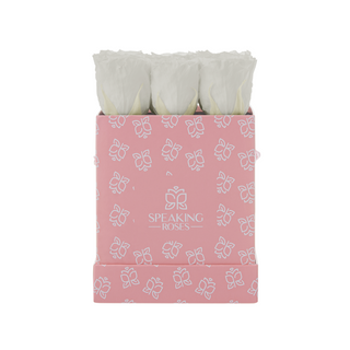 Sovelle OOS - Romance Collection