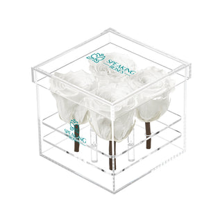 Luxara Cua - Happy Birthday Collection