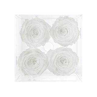 Luxara Cua - Happy Birthday Collection