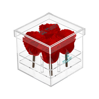 Luxara Cua - Happy Birthday Collection