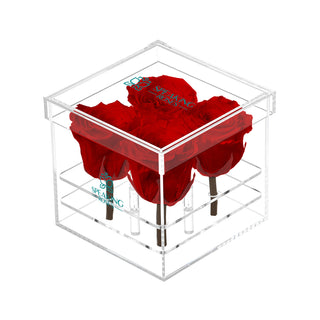 Luxara Cua - Square Collection