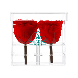 Luxara Cua - Happy Birthday Collection
