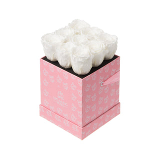 Sovelle OOS  - Square Collection