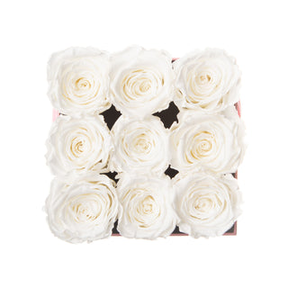 Sovelle OOS  - Square Collection