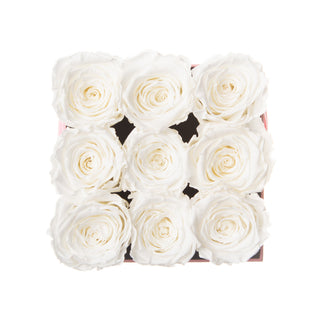 Sovelle OOS  - Romance Collection