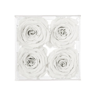 Equoria V04 - Wedding Collection