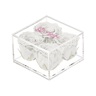 Equoria V04 - Square Collection