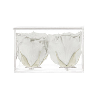 Equoria V04 - Wedding Collection