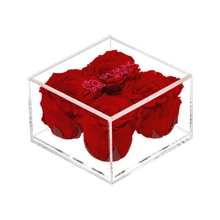 Equoria V04 - Wedding Collection