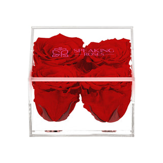 Equoria V04 - Romance Collection