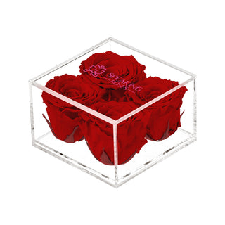 Equoria V04 - Happy Birthday Collection