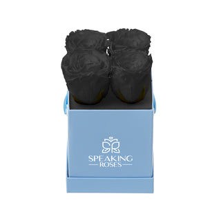 Sovelle OXS  - Funeral Collection
