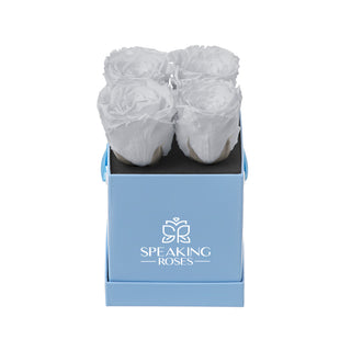 Sovelle OXS  - Funeral Collection