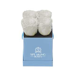 Sovelle OXS  - Funeral Collection