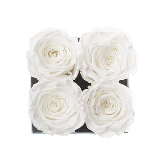 Sovelle OXS  - Happy Birthday Collection