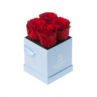 Sovelle OXS  - Happy Birthday Collection