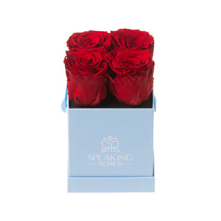 Sovelle OXS  - Happy Birthday Collection