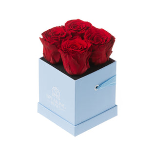 Sovelle OXS  - Happy Birthday Collection