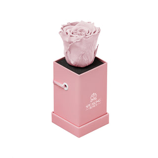 Sovelle XXS - Wedding Collection