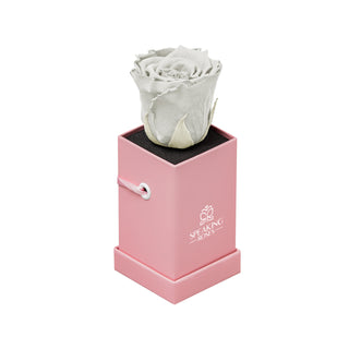 Sovelle XXS - Wedding Collection