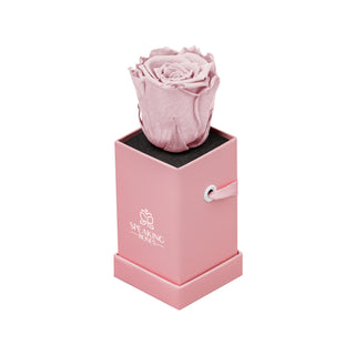 Sovelle XXS - Wedding Collection