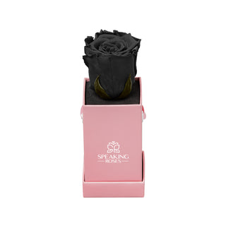 Sovelle XXS  - Funeral Collection