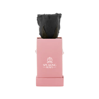 Sovelle XXS  - Funeral Collection