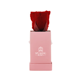 Sovelle XXS  - Funeral Collection