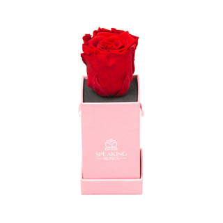 Sovelle XXS  - Romance Collection