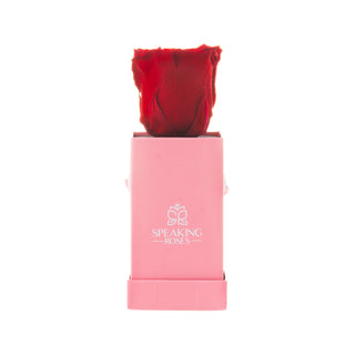 Sovelle XXS  - Romance Collection