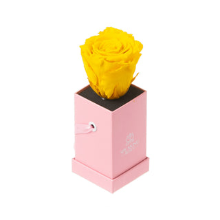 Sovelle XXS  - Happy Birthday Collection