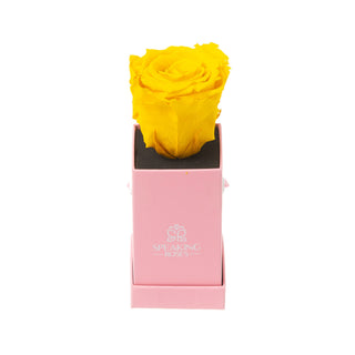 Sovelle XXS  - Romance Collection