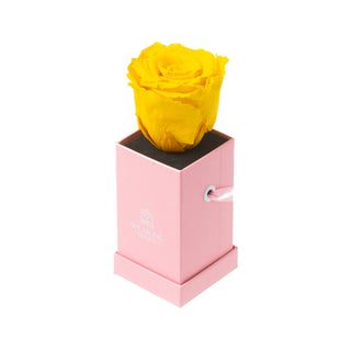Sovelle XXS  - Square Collection