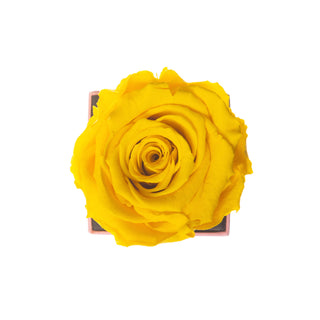 Sovelle XXS  - Romance Collection